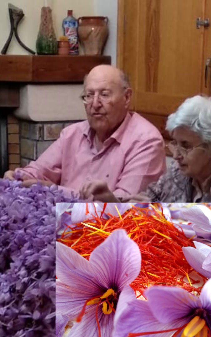 Antonio Bielsa y Teresa Pons, rodeados del cultivo que han recuperado. / E. B. P. Antonio Bielsa y Teresa Pons, rodeados del cultivo que han recuperado. / E. B. P.